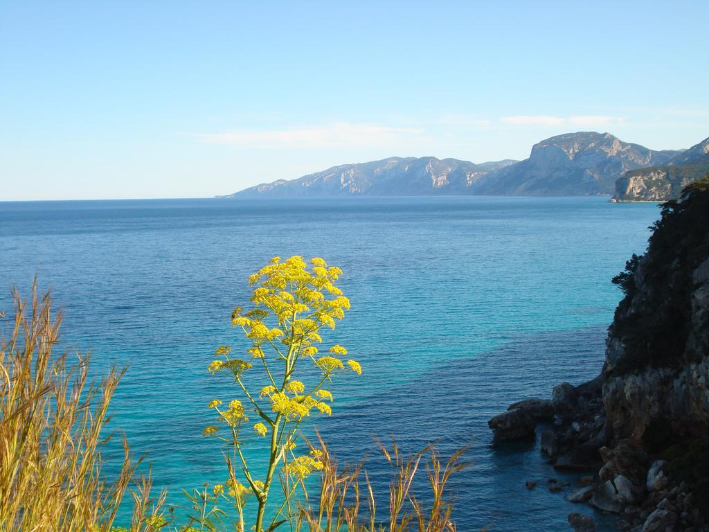 Casa Degli Oleandri Sul Cortile R6314 Daire Cala Gonone Dış mekan fotoğraf